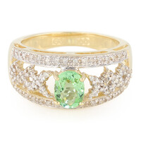 Paraiba-Turmalin-Goldring