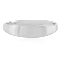 Silberring