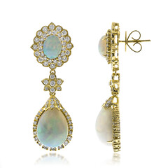 AAA-Welo-Opal-Goldohrringe