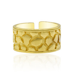 Silberring