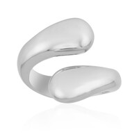 Silberring