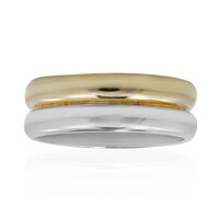 Silberring