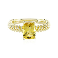 Goldener Beryll-Goldring (Ornaments by de Melo)