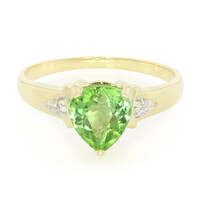 Paraiba-Turmalin-Goldring
