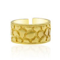 Silberring