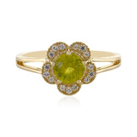 Sphen-Goldring