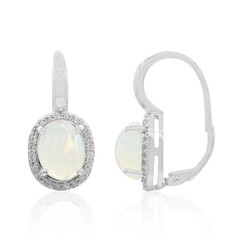 Welo-Opal-Silberohrringe