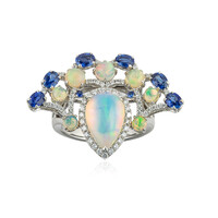 AAA-Welo-Opal-Goldring (de Melo)