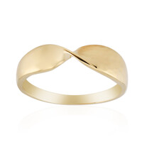 Silberring
