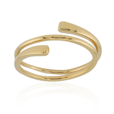 Silberring