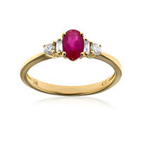 AAA-Mosambik-Rubin-Goldring (CIRARI)