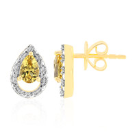 Australischer Goldener Beryll-Goldohrringe