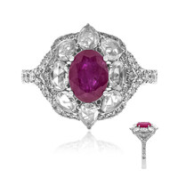 AAA-Mosambik-Rubin-Goldring (CIRARI)