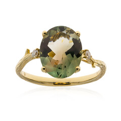 Sonnenstein-Goldring (Smithsonian)