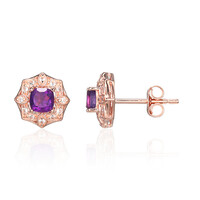Sambia-Amethyst-Silberohrringe