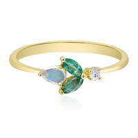 Edelstein-Goldring (CIRARI)