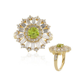 Sphen-Goldring (de Melo)