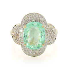 Nigerianischer Paraiba-Turmalin-Goldring (AMAYANI)
