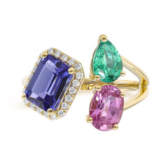 Edelstein-Goldring (CIRARI)
