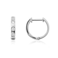 Lupenreiner (F) Brillant-Platinohrringe (LUCENT DIAMONDS)