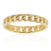 Silberring