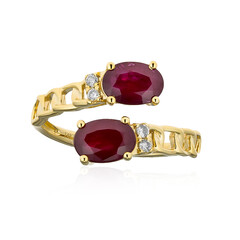 Mosambik-Rubin-Goldring (CIRARI)