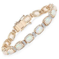 AAA-Welo-Opal-Goldarmband (AMAYANI)