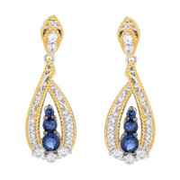 Blauer Saphir-Silberohrringe (Gems en Vogue)