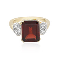 Mosambik-Granat-Goldring