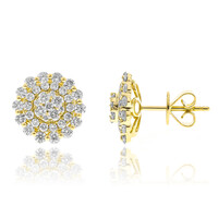 I1 (H) Brillant-Goldohrringe (CIRARI)