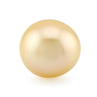 Goldene Kabira-Südseeperle (TPC)