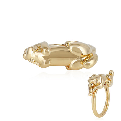 Silberring