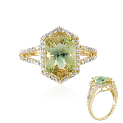 Oregon-Sonnenstein-Goldring (AMAYANI)