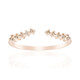 SI1 Argyle-Rose de France-Brillant-Goldring (Annette)