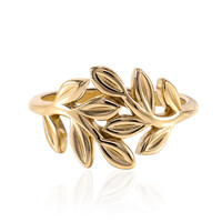 Silberring