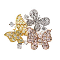Brillant-Goldring (CIRARI)