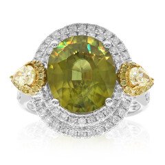 Sphen-Goldring (Smithsonian)