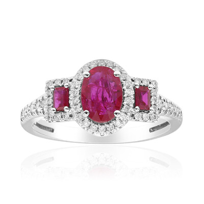 AAA-Mosambik-Rubin-Goldring (CIRARI)