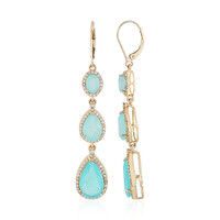 Paraiba-Opal-Goldohrringe (AMAYANI)