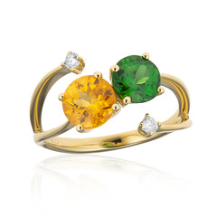 Edelstein-Goldring (CIRARI)