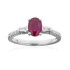 Mosambik-Rubin-Goldring (CIRARI)