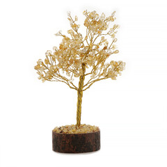 Citrin-Baum