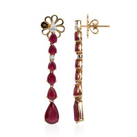 Burmesischer Rubin-Goldohrringe (Estée Collection)
