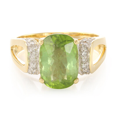 Paraiba-Turmalin-Goldring (AMAYANI)