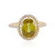 Sphen-Goldring (AMAYANI)