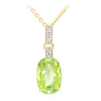 Paraiba-Turmalin-Goldhalskette (AMAYANI)