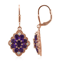 Sambia-Amethyst-Silberohrringe