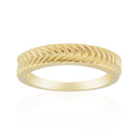 Silberring