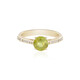 Sphen-Goldring (AMAYANI)