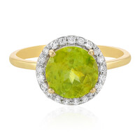 Sphen-Goldring